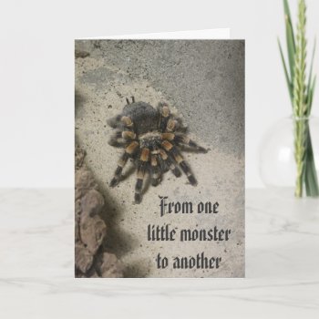 Tarantula Monster Birthday Card by erinphotodesign at Zazzle
