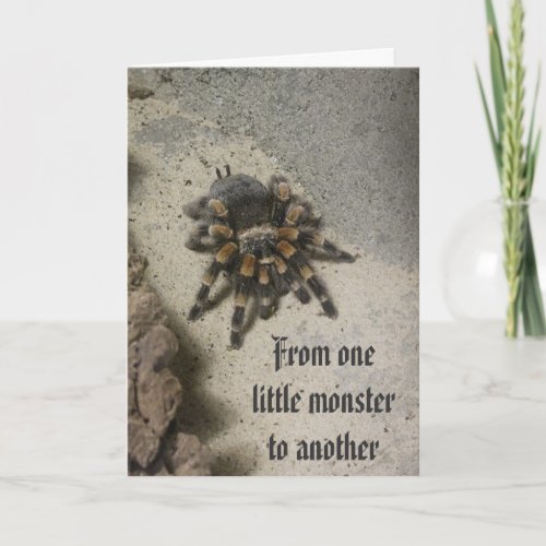Tarantula Monster Birthday Card