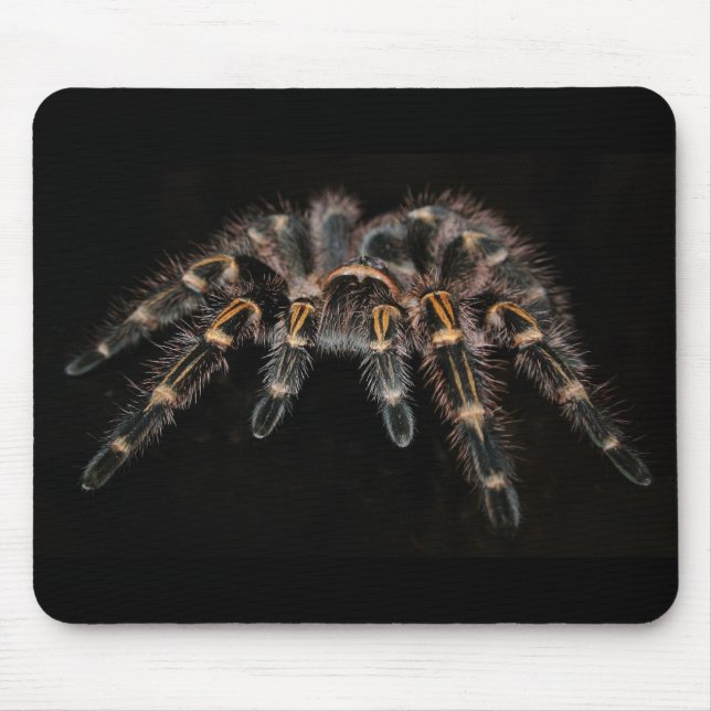 tarantula mouse pad (Front)