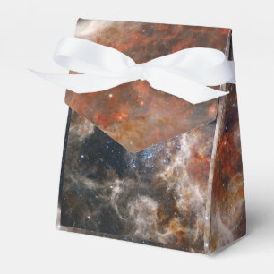 Tarantula Nebula Image from JWST Favor Boxes