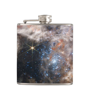 Tarantula Nebula Image from JWST Flask