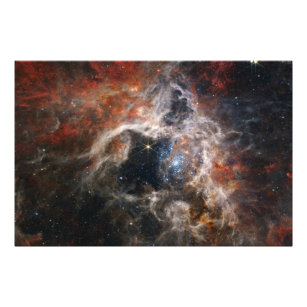 Tarantula Nebula James Webb Telescope nasa stars Photo Print