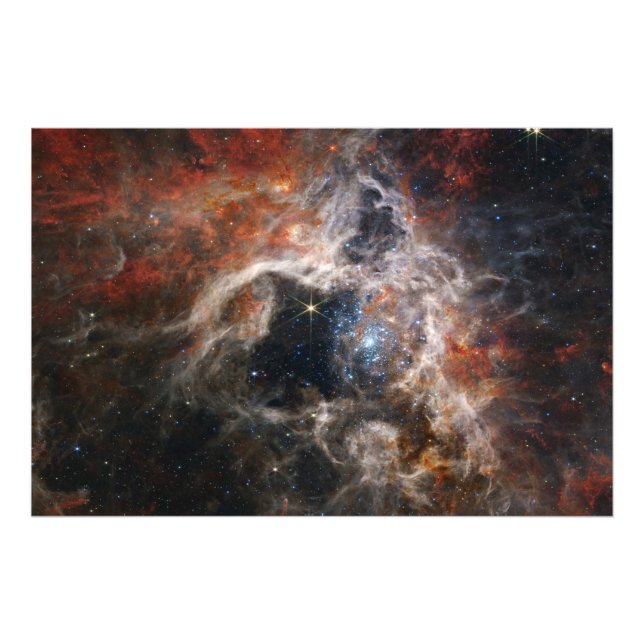 Tarantula Nebula James Webb Telescope nasa stars Photo Print (Front)