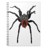 Tarantula Jumping Bird Spider awesome accessories Notebook