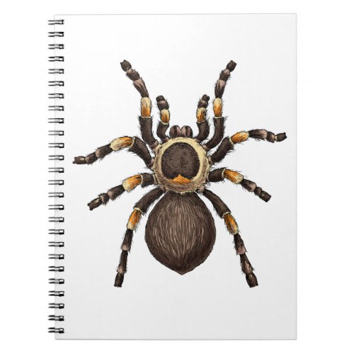 Tarantula Notebook