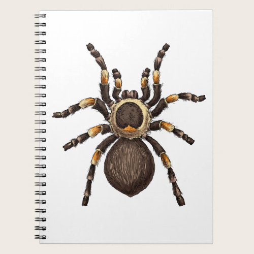 Tarantula Notebook