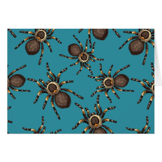 Tarantula on blue cards (Front Horizontal)
