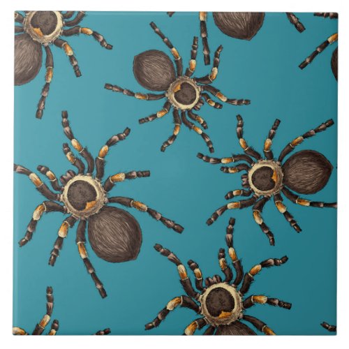 Tarantula on blue ceramic tile