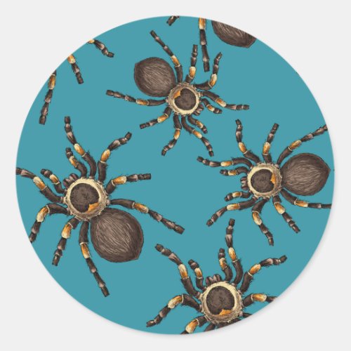 Tarantula on blue classic round sticker