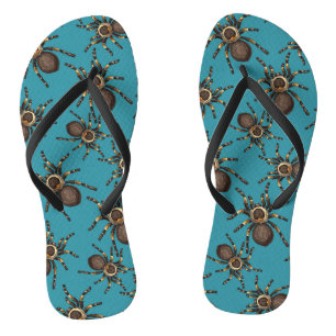 Tarantula on blue flip flops