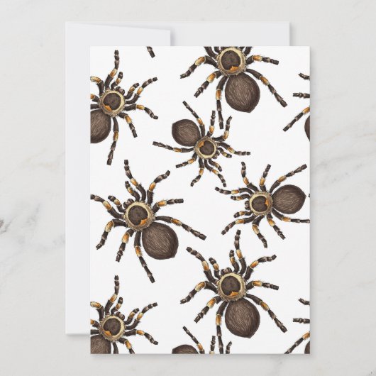 Tarantula on white (Front)