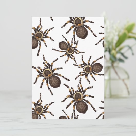 Tarantula on white (Standing Front)
