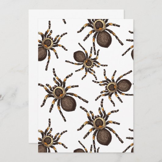 Tarantula on white (Front/Back)