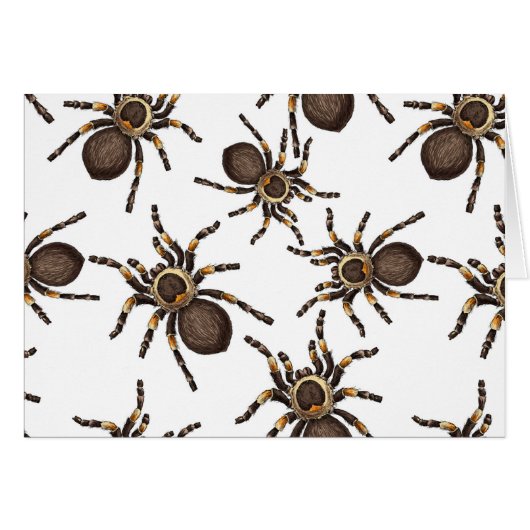 Tarantula on white cards (Front Horizontal)