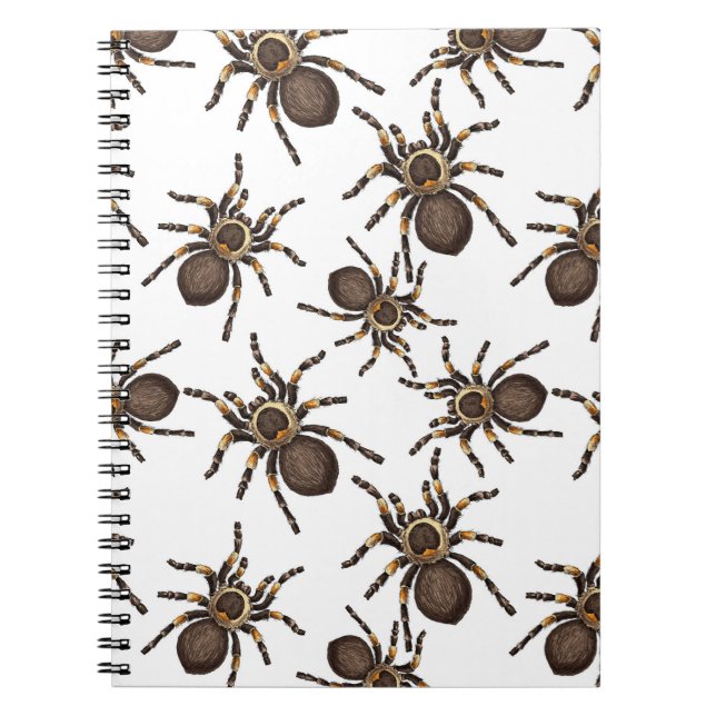 Tarantula on white notebook (Front)