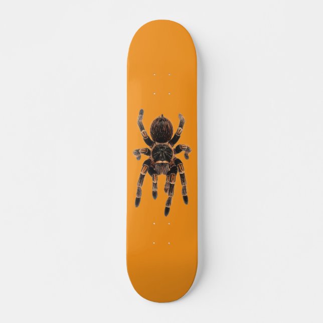 Tarantula orange skateboard (Front)