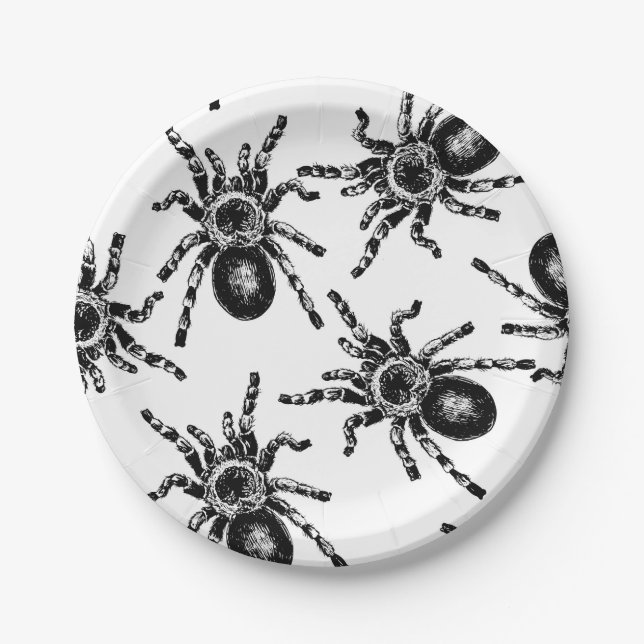 Tarantula Paper Plates (Front)