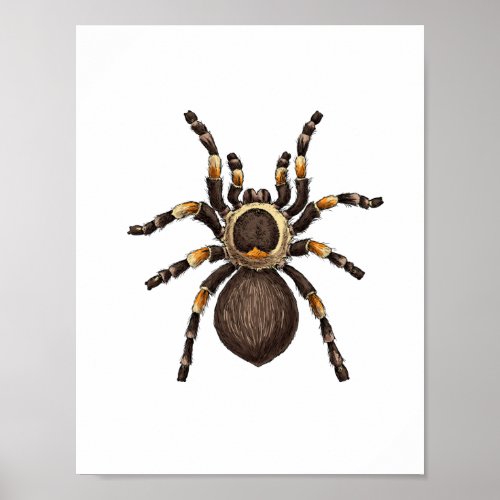 Tarantula Poster