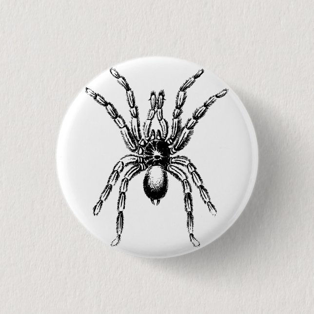 tarantula spider button (Front)