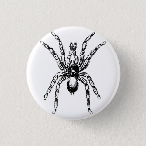 tarantula spider button