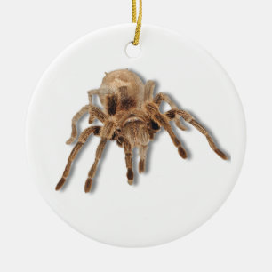 Tarantula spider ceramic ornament