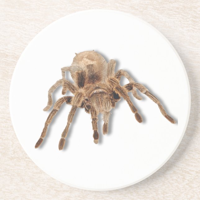 Tarantula spider coaster (Front)