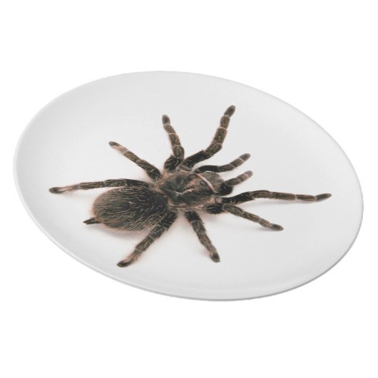 Tarantula Spider Dinner Plate. Melamine Plate (Right Side)
