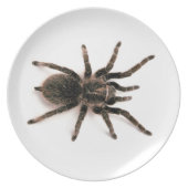 Tarantula Spider Dinner Plate. Melamine Plate (Front)