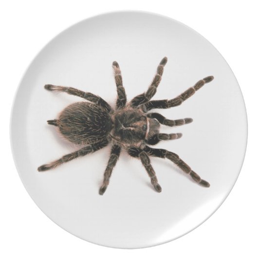 Tarantula Spider Dinner Plate. Melamine Plate (Front)