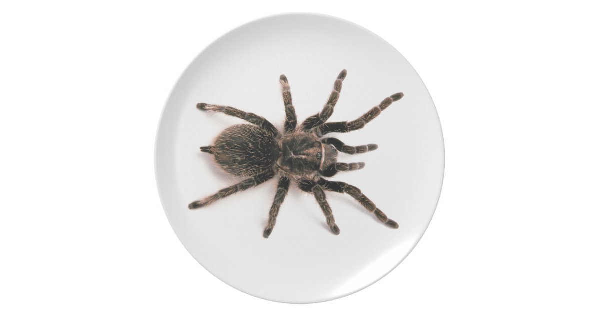 Tarantula Spider Dinner Plate. Melamine Plate | Zazzle