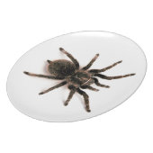 Tarantula Spider Dinner Plate. Melamine Plate (Left Side)