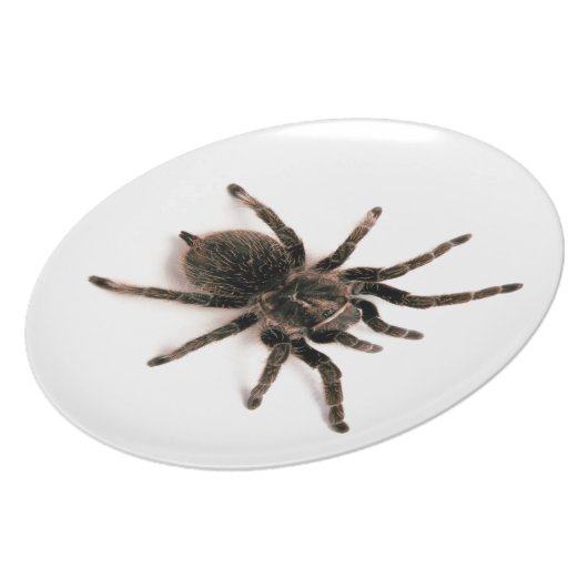 Tarantula Spider Dinner Plate. Melamine Plate (Left Side)
