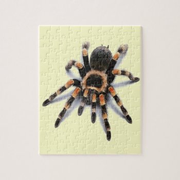 Tarantula Spider Jigsaw Puzzle by BukuDesigns at Zazzle