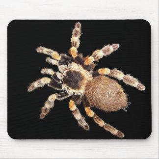 Tarantula Spider Mouse Pad