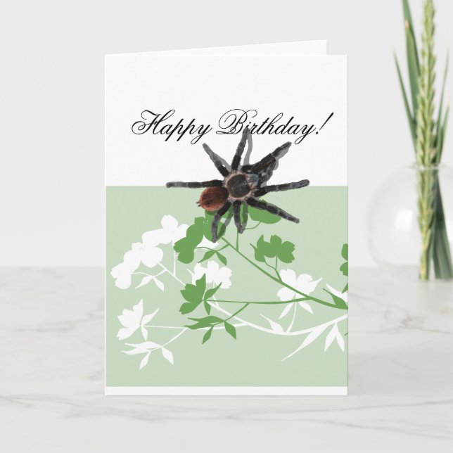 tarantula spider on dogwood blossom design cards (Front)