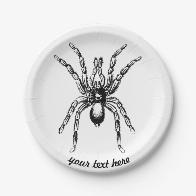 tarantula spider paper plates (Front)