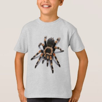 Tarantula Spider T-shirt by BukuDesigns at Zazzle