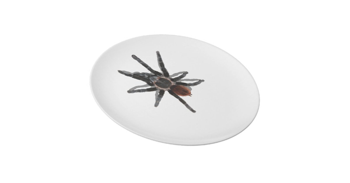 tarantula spider white dinner plate | Zazzle