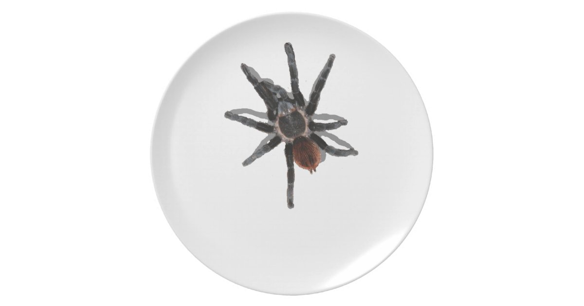 tarantula spider white dinner plate | Zazzle