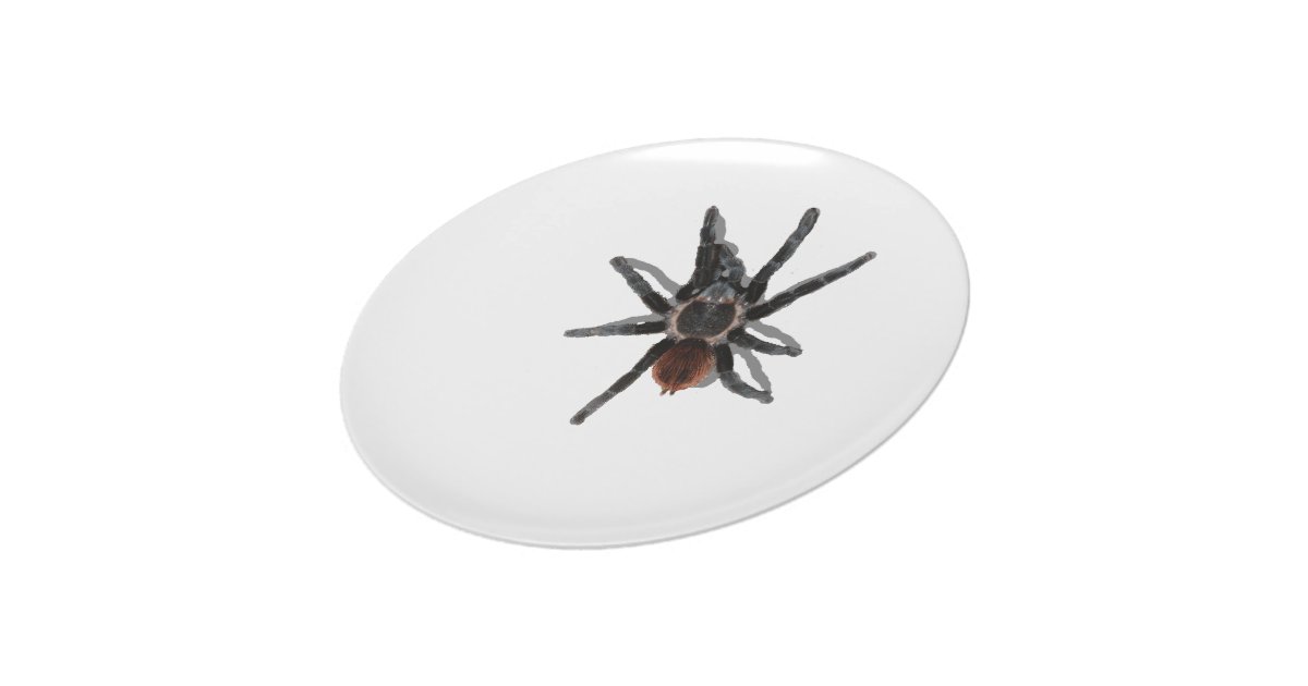 tarantula spider white dinner plate | Zazzle