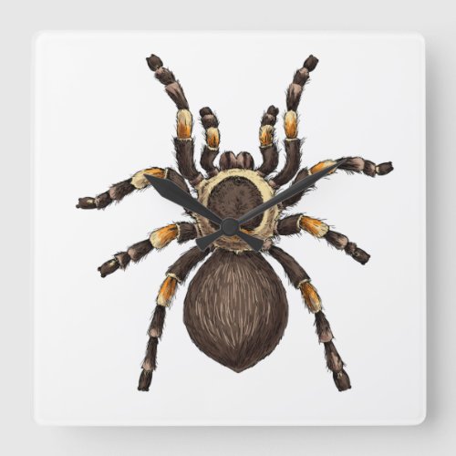 Tarantula Square Wall Clock