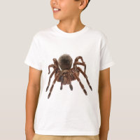 TARANTULA