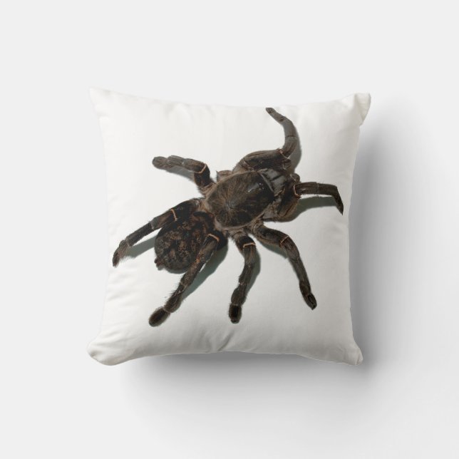 Tarantula Throw Pillow (Front)