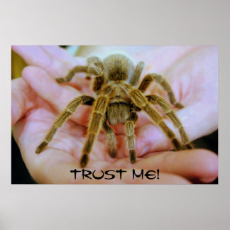 Tarantula, Trust Me! Poster