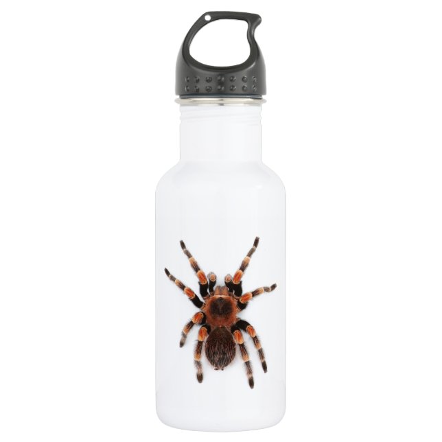 Tarantula Water Bottle (Front)