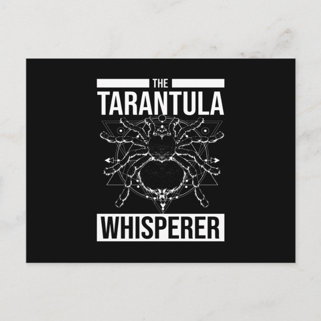 Tarantula Whisperer Spider Tarantula Postcard (Front)