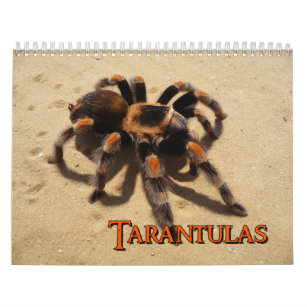 Tarantulas Wall Calendar