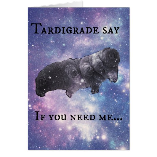 Tardigrade Say - Judging Cards (Front)