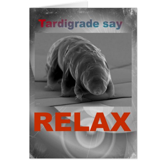 Tardigrade Say - Relax. (Front)