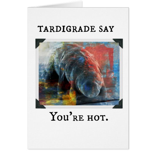 Tardigrade Say - you're hot Cards (Front)